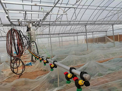 怎样防 治温室育苗的常见病害？？？？？